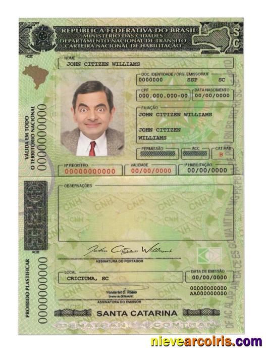 Brazil(SantaCatarina)driving license